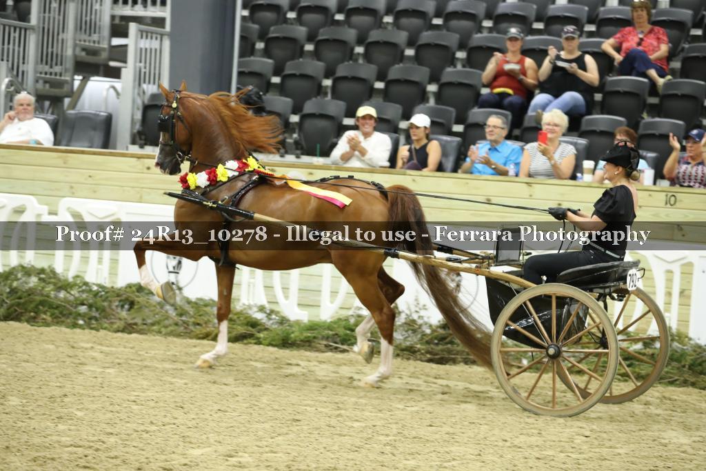 Proof Number 24R13_10278