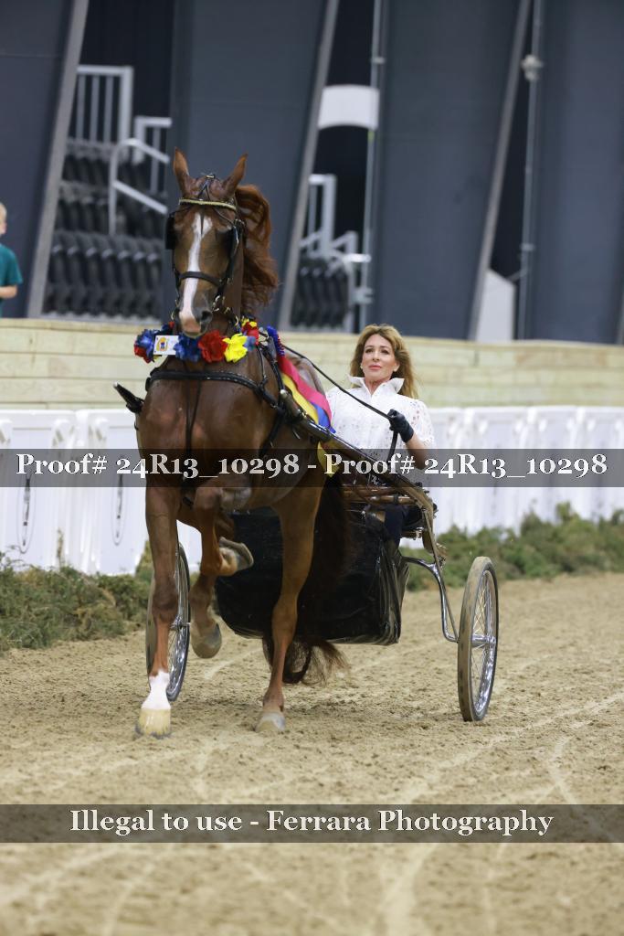 Proof Number 24R13_10298