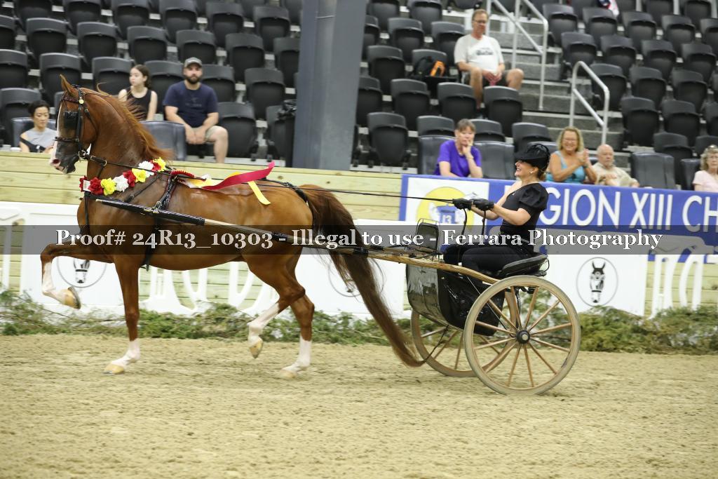 Proof Number 24R13_10303
