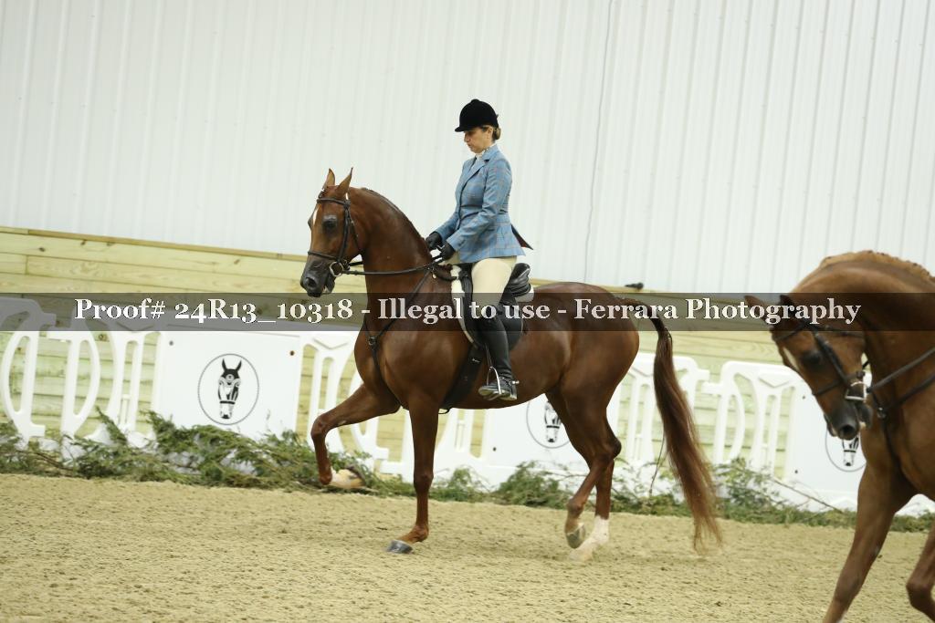 Proof Number 24R13_10318