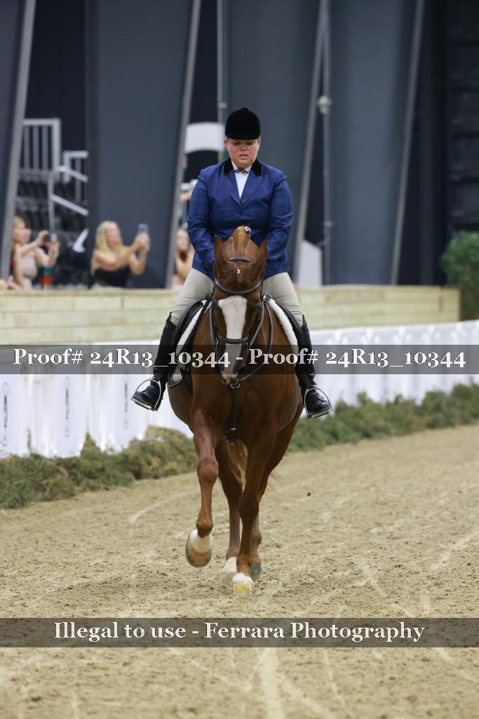Proof Number 24R13_10344