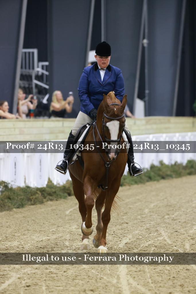 Proof Number 24R13_10345
