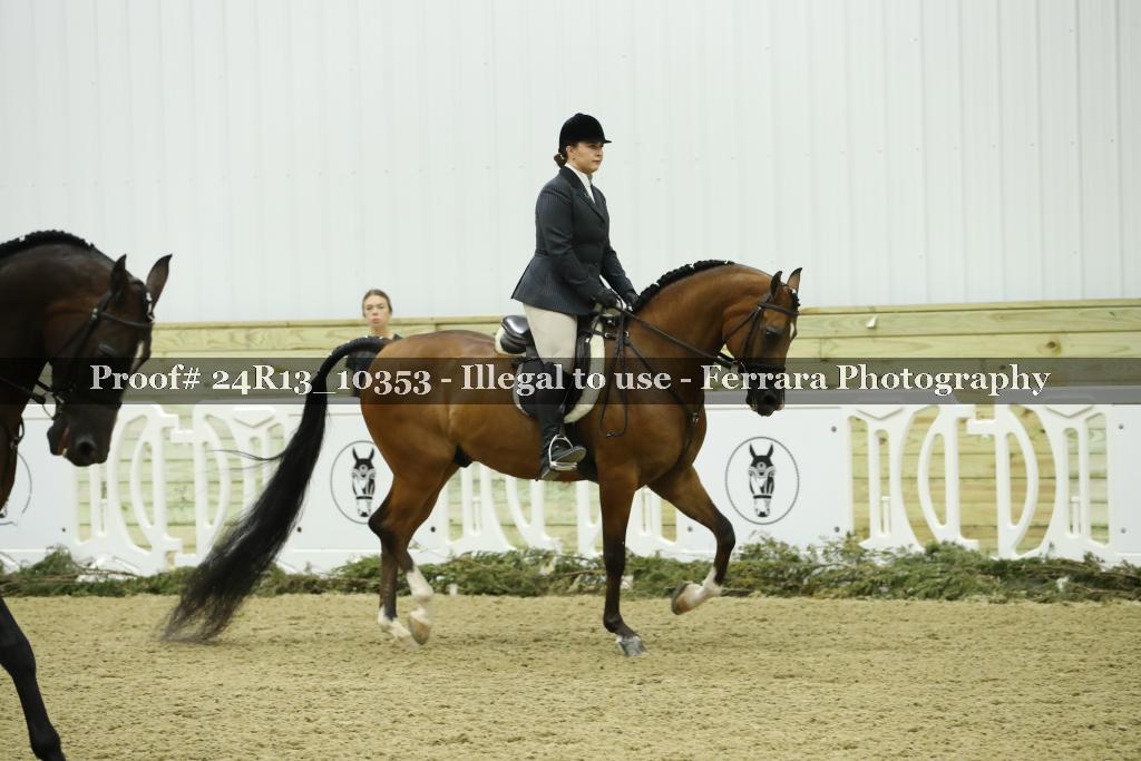 Proof Number 24R13_10353