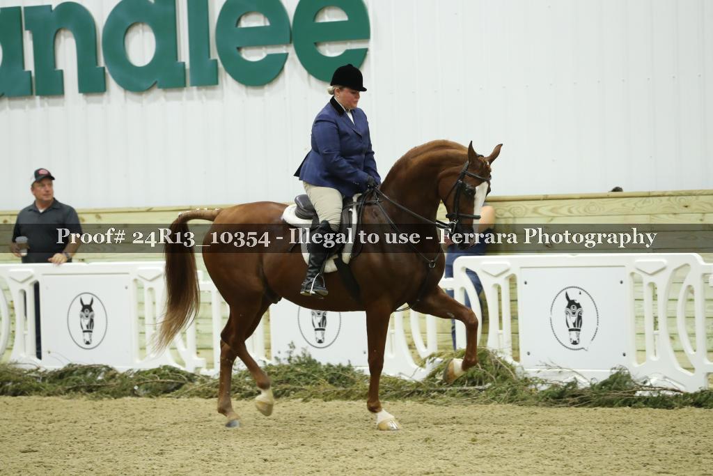 Proof Number 24R13_10354