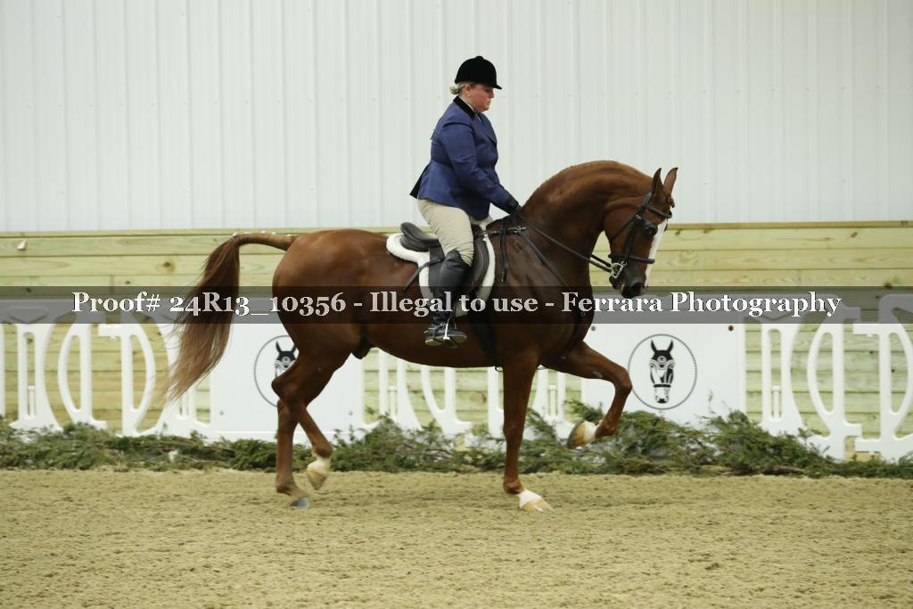 Proof Number 24R13_10356