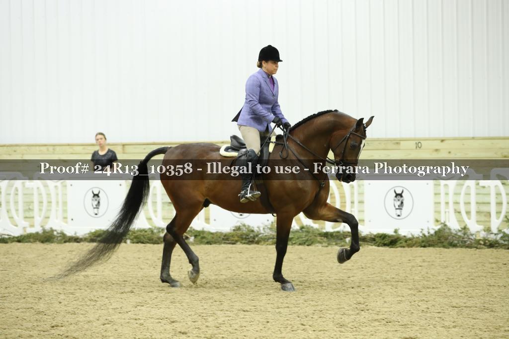 Proof Number 24R13_10358
