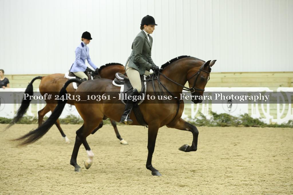 Proof Number 24R13_10361