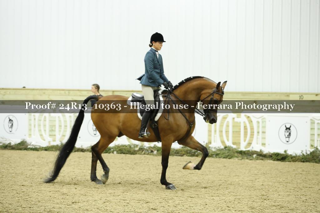Proof Number 24R13_10363