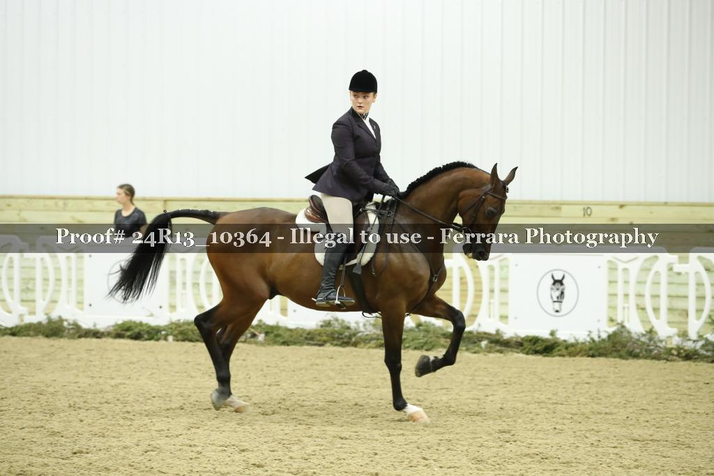 Proof Number 24R13_10364
