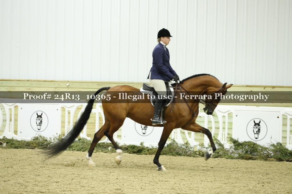 Proof Number 24R13_10365