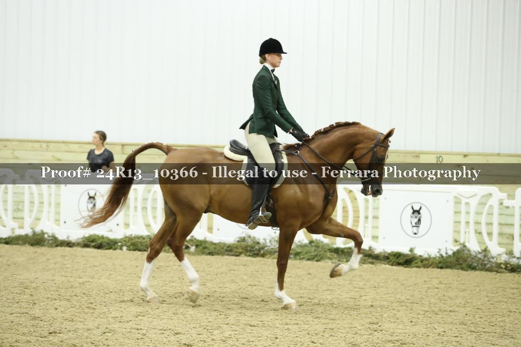 Proof Number 24R13_10366