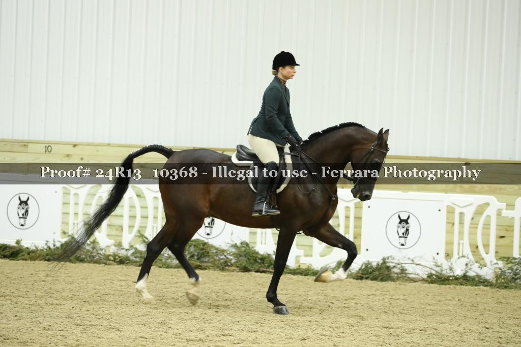 Proof Number 24R13_10368