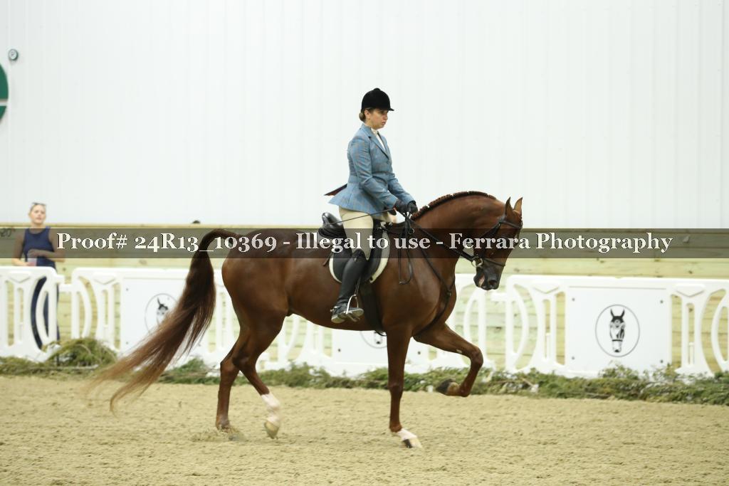 Proof Number 24R13_10369