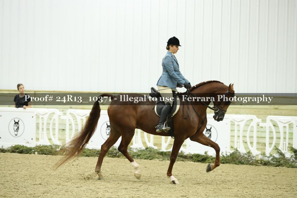 Proof Number 24R13_10371