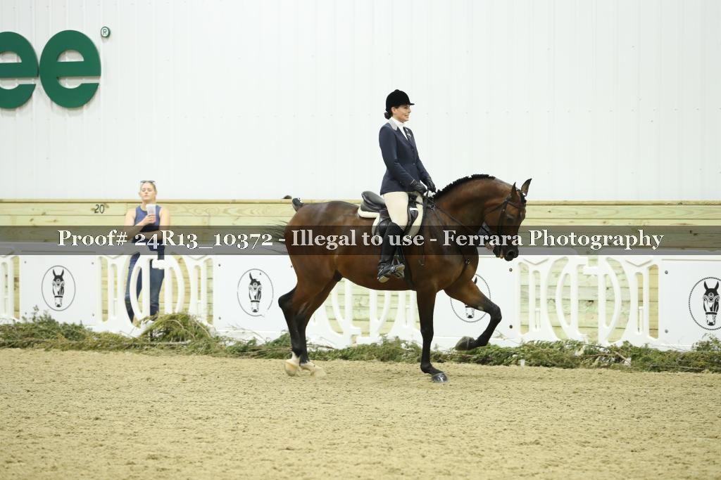 Proof Number 24R13_10372