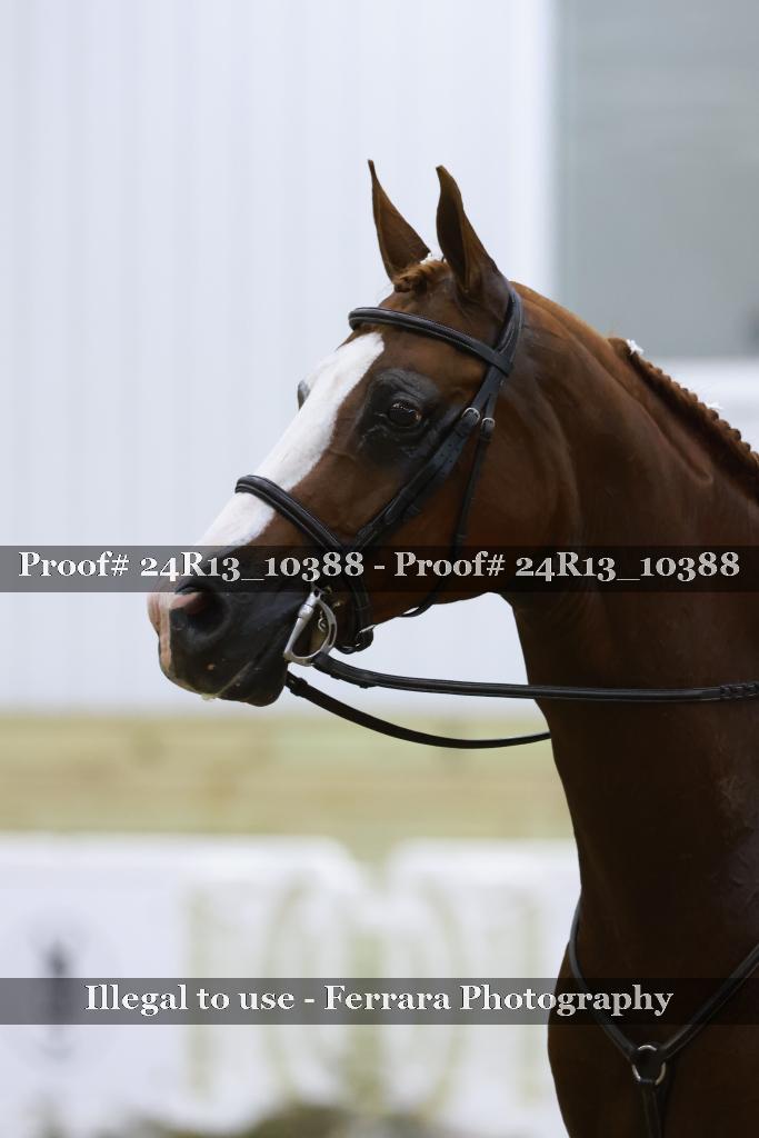 Proof Number 24R13_10388