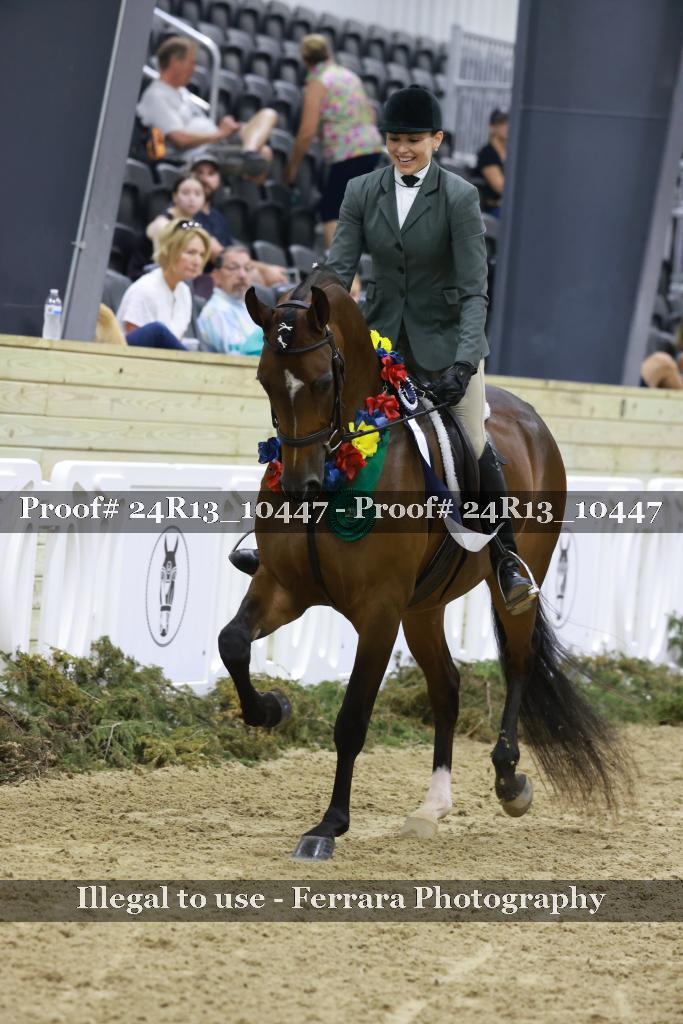 Proof Number 24R13_10447