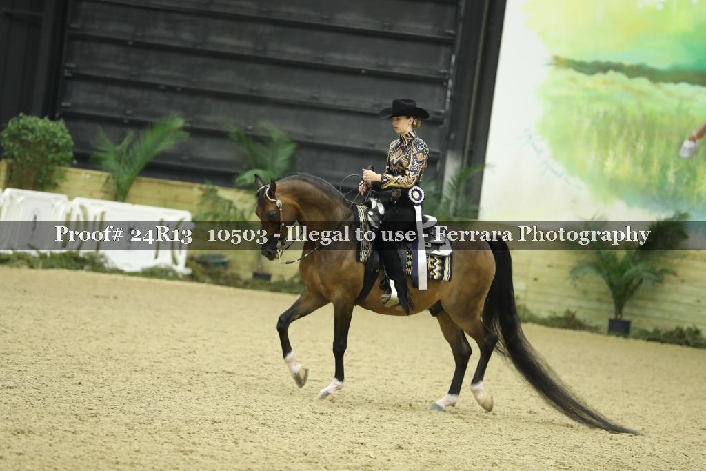 Proof Number 24R13_10503