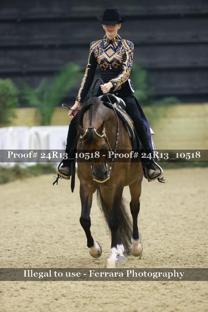 Proof Number 24R13_10518