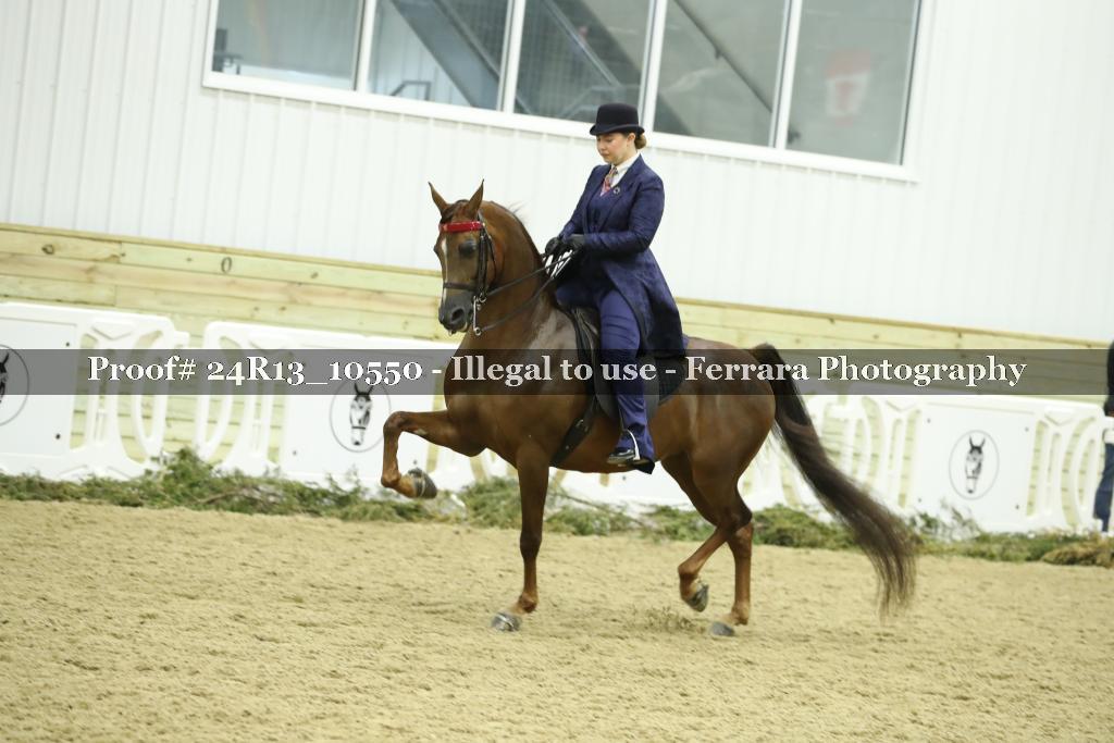 Proof Number 24R13_10550