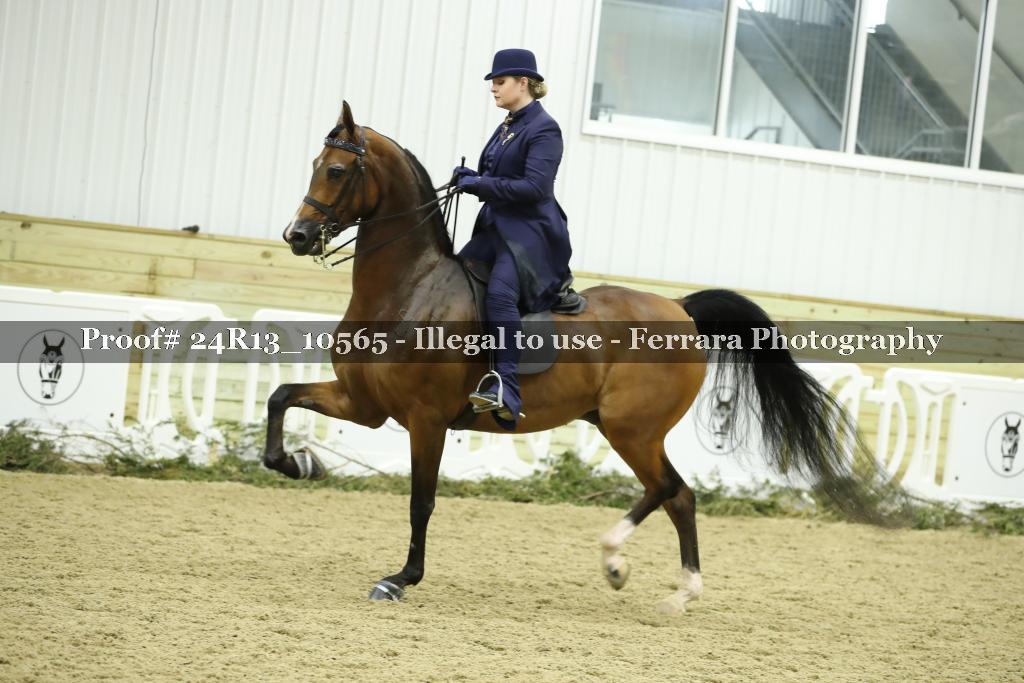 Proof Number 24R13_10565