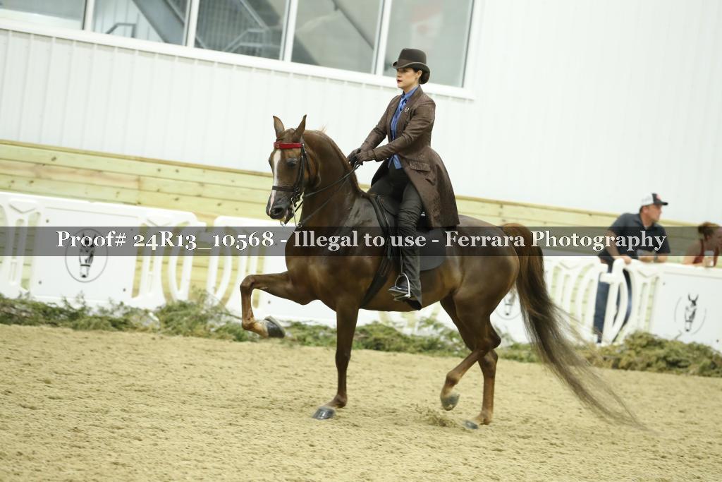 Proof Number 24R13_10568