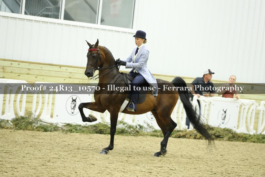 Proof Number 24R13_10570