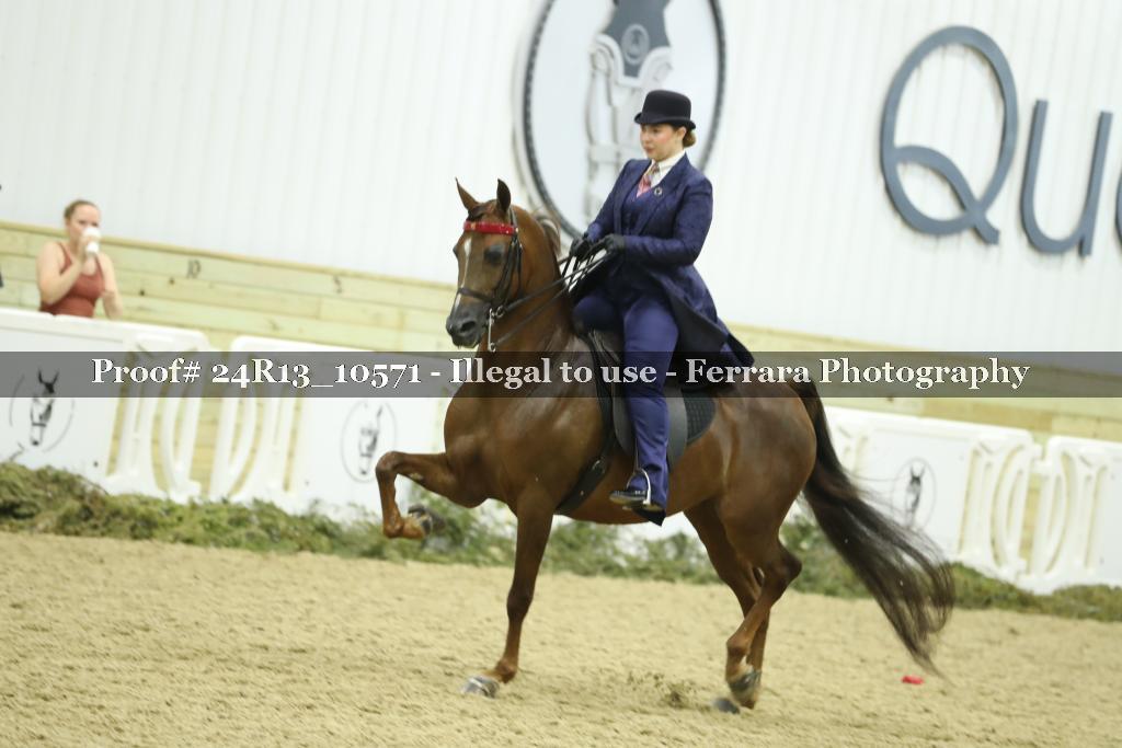Proof Number 24R13_10571