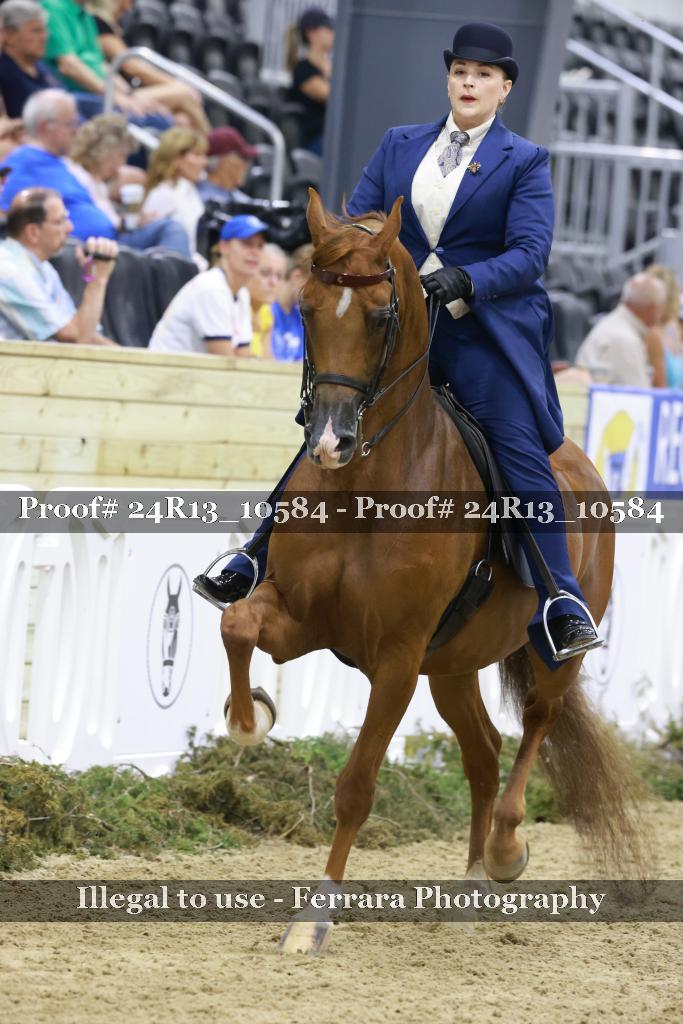 Proof Number 24R13_10584
