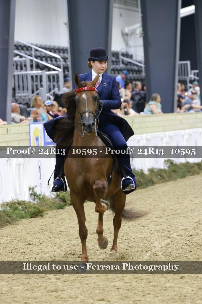 Proof Number 24R13_10595