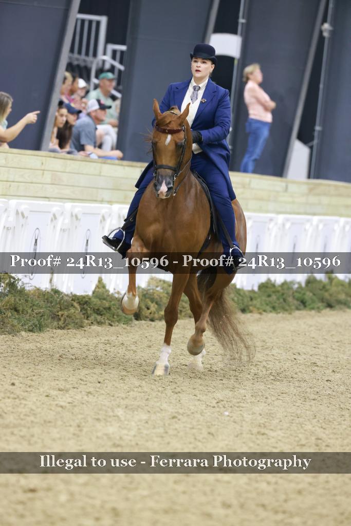 Proof Number 24R13_10596