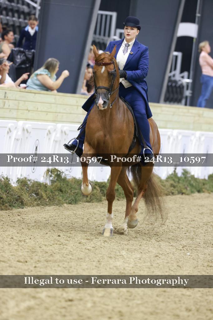 Proof Number 24R13_10597