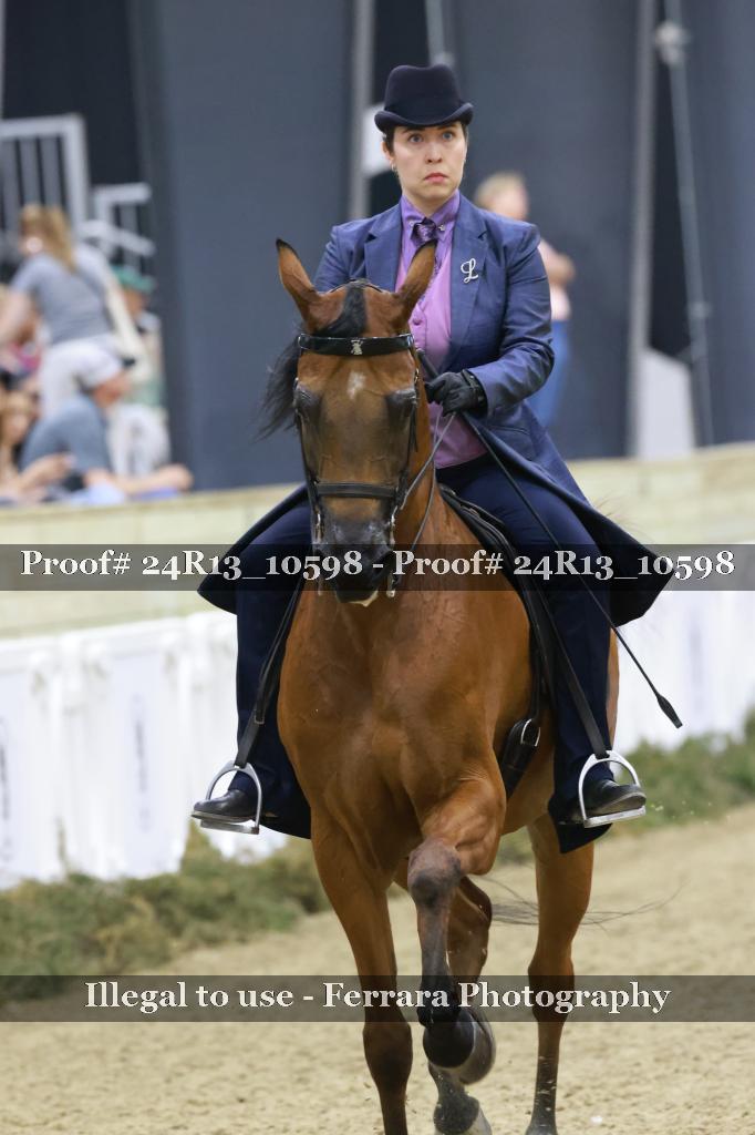 Proof Number 24R13_10598
