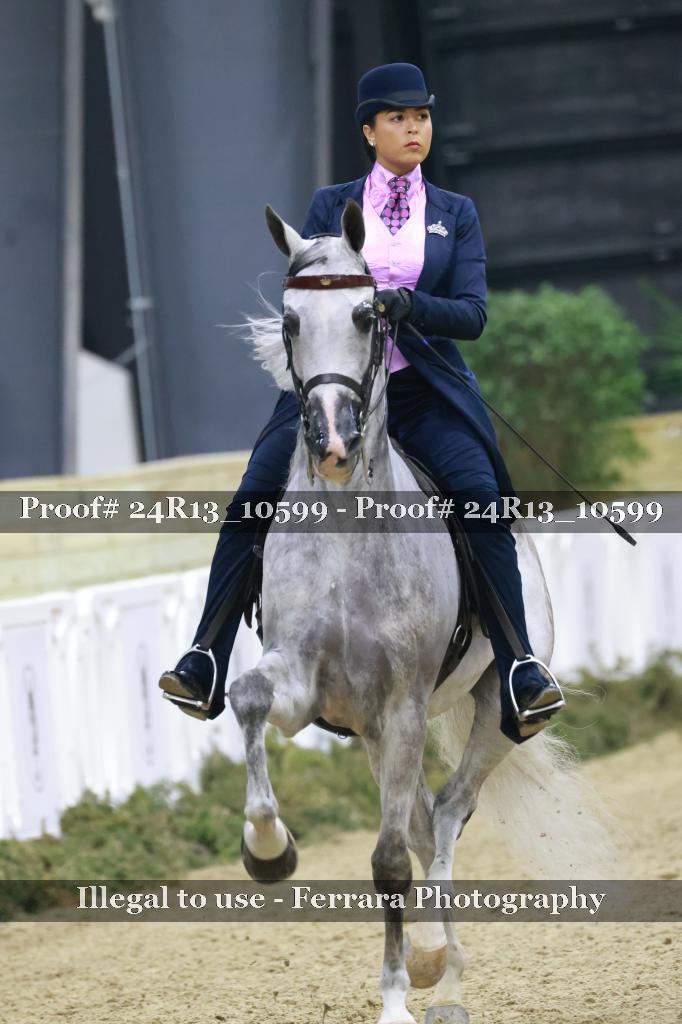 Proof Number 24R13_10599