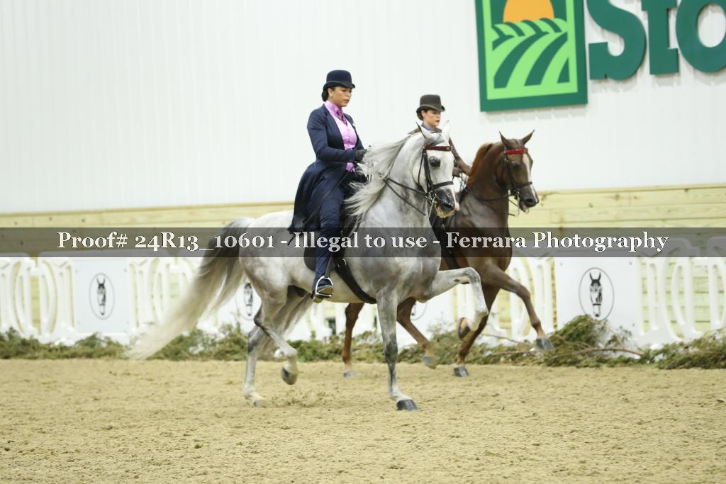 Proof Number 24R13_10601