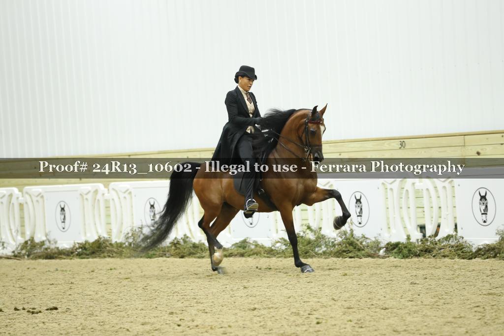 Proof Number 24R13_10602