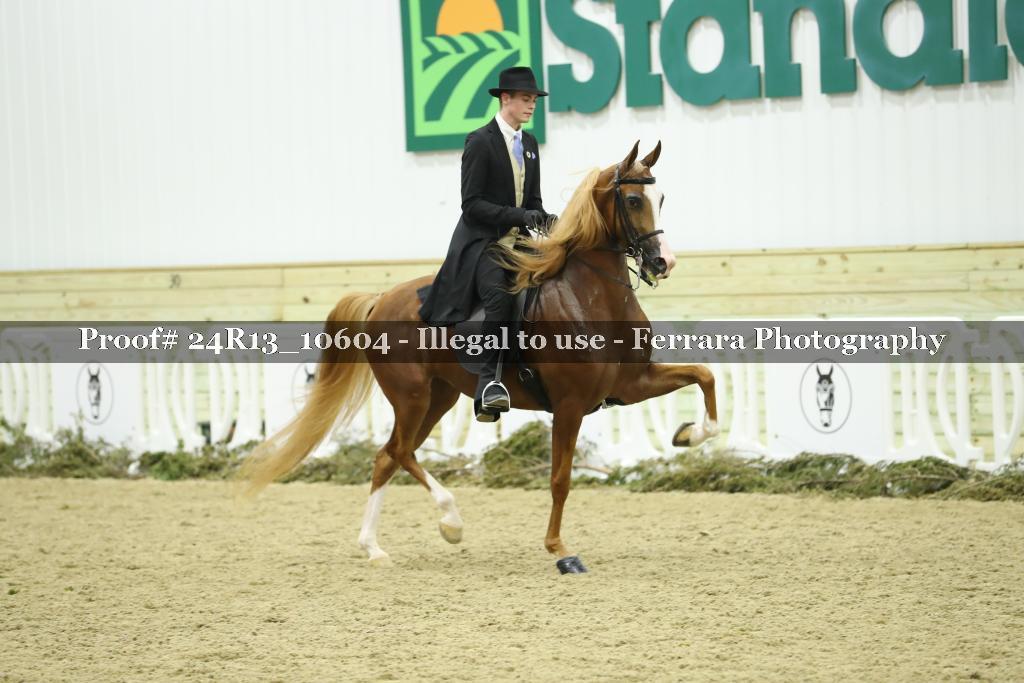 Proof Number 24R13_10604