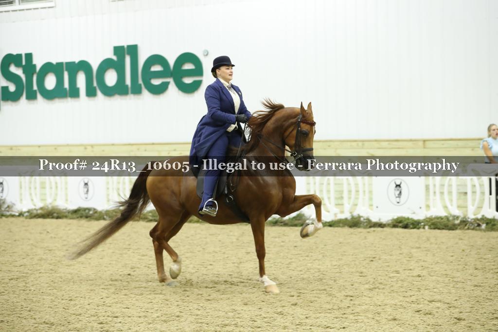 Proof Number 24R13_10605