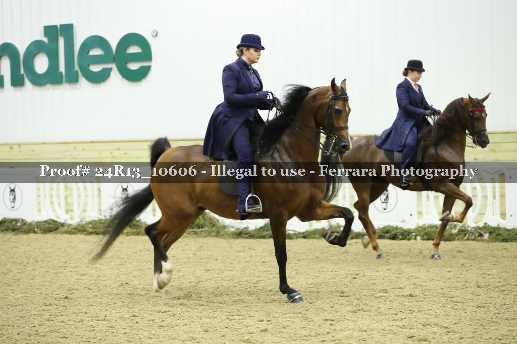 Proof Number 24R13_10606