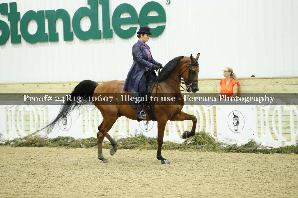 Proof Number 24R13_10607