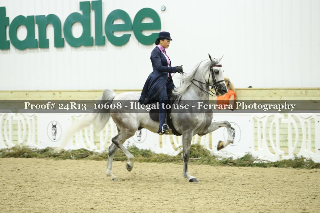 Proof Number 24R13_10608