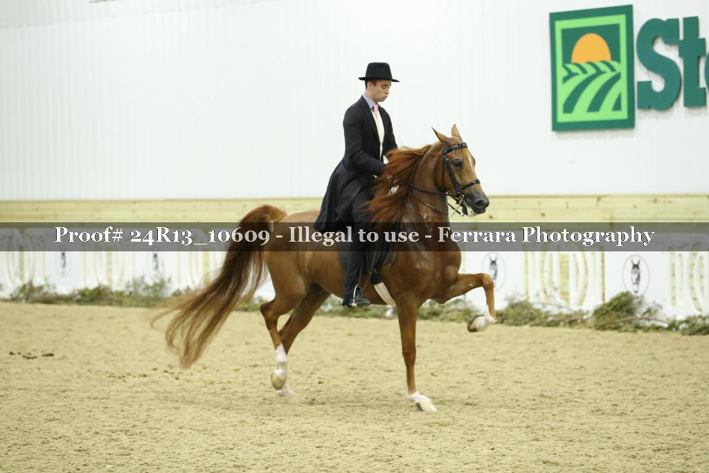 Proof Number 24R13_10609