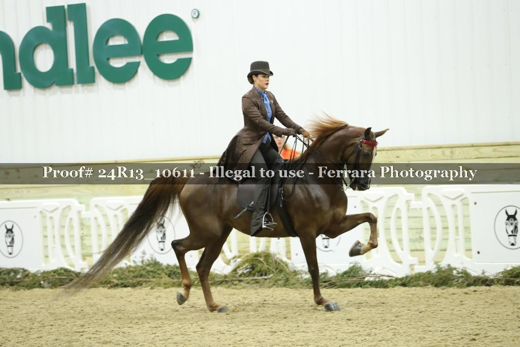 Proof Number 24R13_10611