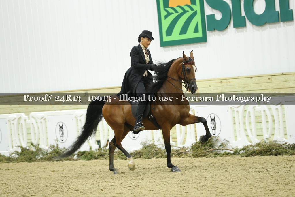 Proof Number 24R13_10613