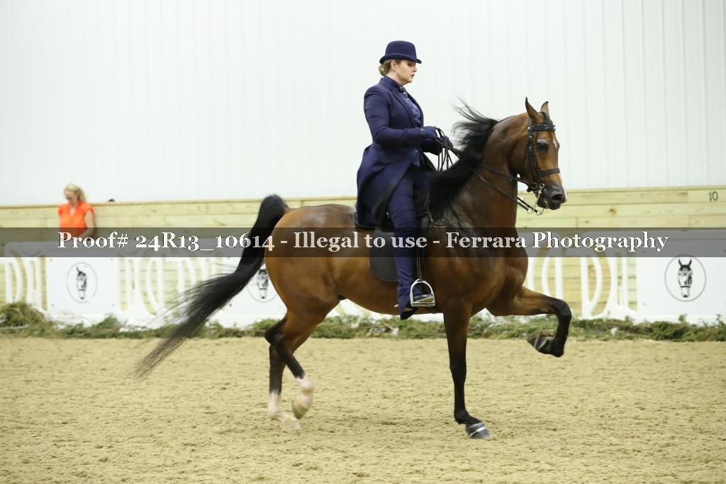 Proof Number 24R13_10614