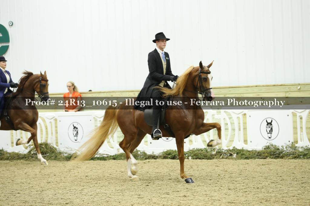 Proof Number 24R13_10615