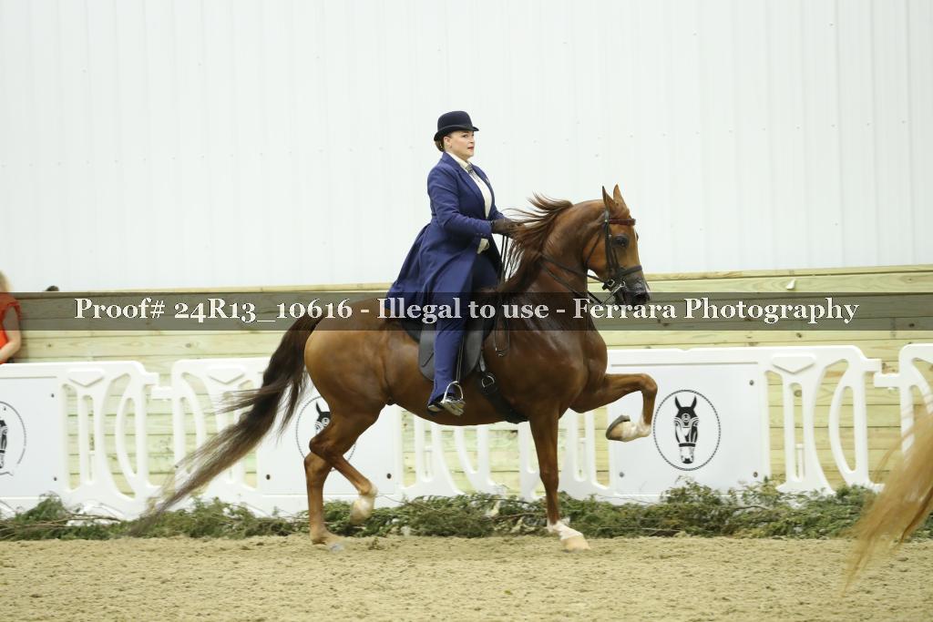 Proof Number 24R13_10616