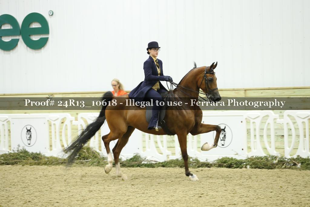 Proof Number 24R13_10618