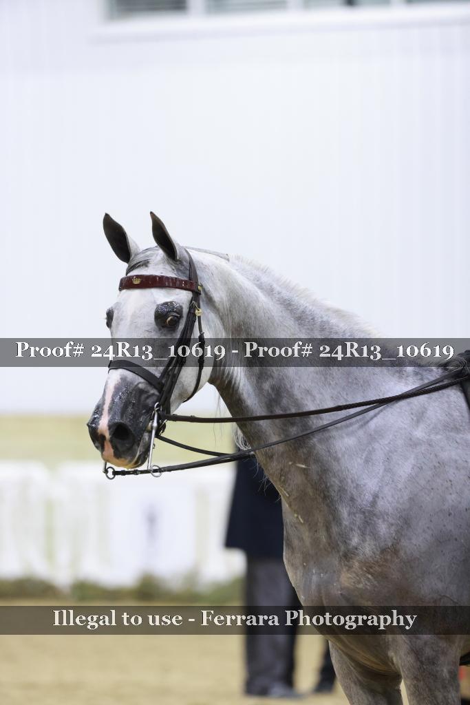 Proof Number 24R13_10619