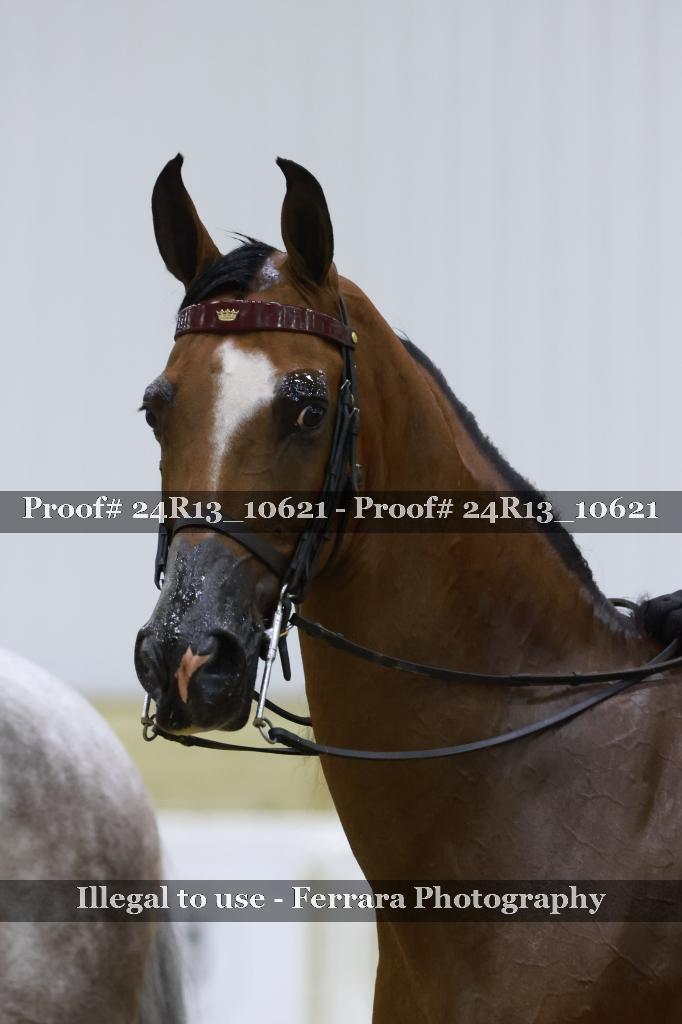 Proof Number 24R13_10621